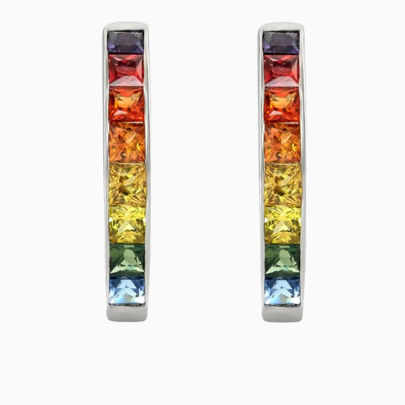 Multicolor Channel Hoop Earrings