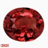 Natural padparadscha sapphire gemstone