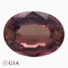 Natural pink sapphire gemstone