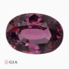 Natural pink purple spinel gemstone