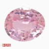 Natural unheated padparadscha sapphire gemstone