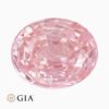 Natural unheated sri lankan padparadscha sapphire gemstone