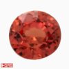 Natural unheated padparadscha sapphire gemstone