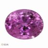 Natural pink-purple sapphire gemstone