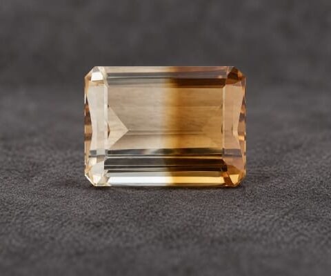 The Natural Bicolor Citrine Gemstone
