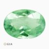 Natural yellowish-green mozambique paraiba tourmaline gemstone